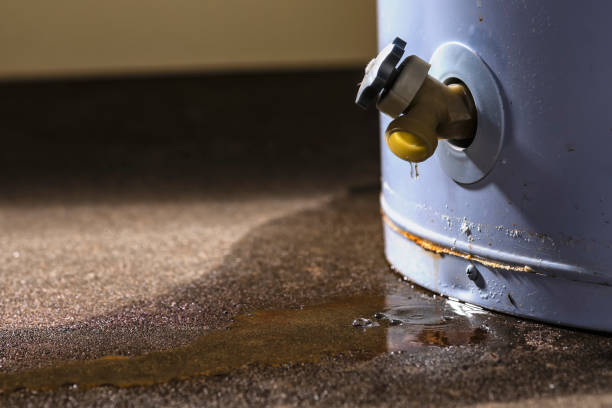 Best Local water damage restoration  in Parksdale, CA