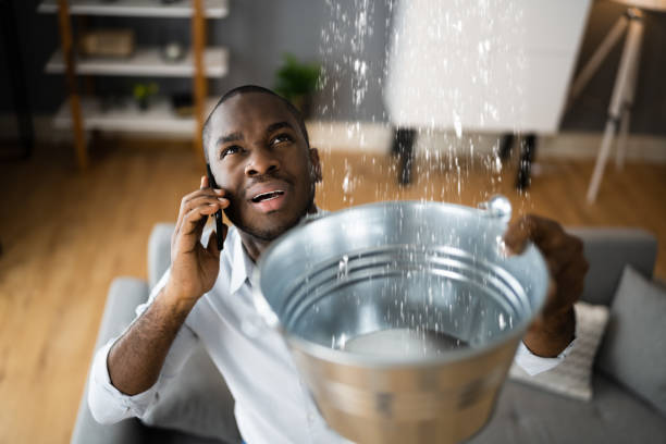 Best Basement water damage restoration  in Parksdale, CA