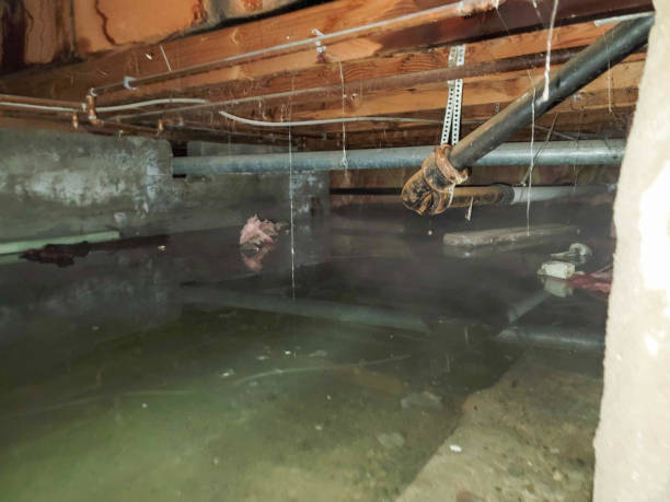 Best Commercial water damage restoration  in Parksdale, CA