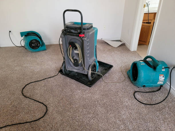Best Ceiling water damage repair  in Parksdale, CA