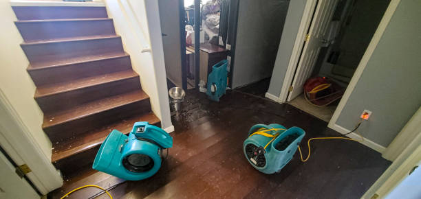 Best Water damage restoration near me  in Parksdale, CA