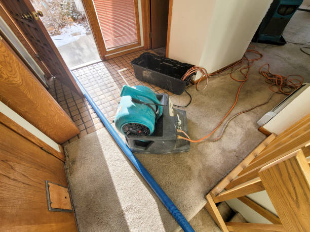 Best Water damage restoration experts  in Parksdale, CA