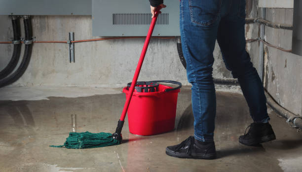 Best Sewage cleanup and water damage restoration  in Parksdale, CA