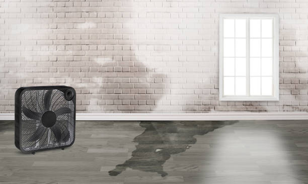 Best 24-hour water damage restoration  in Parksdale, CA