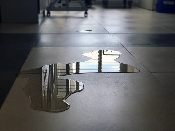 Best 24/7 water damage repair  in Parksdale, CA