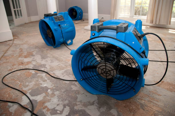 Best Water damage restoration near me  in Parksdale, CA