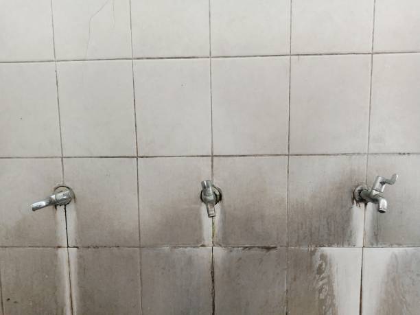 Best Professional water damage repair  in Parksdale, CA