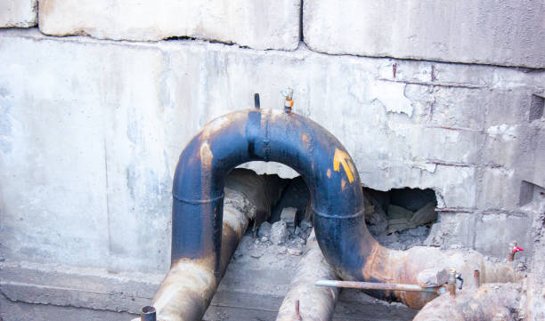 Best Mold removal after water damage  in Parksdale, CA