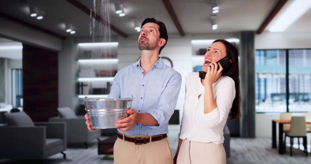 Best Flood damage cleanup  in Parksdale, CA