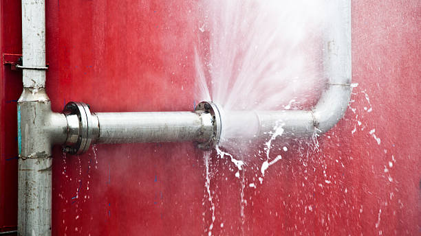 Best Ceiling water damage repair  in Parksdale, CA