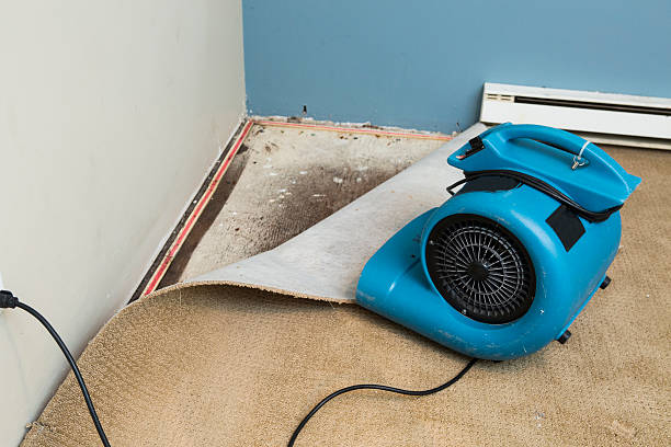 Best Water damage cleanup near me  in Parksdale, CA