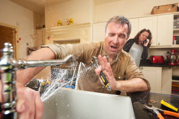 Best Flooded house restoration  in Parksdale, CA